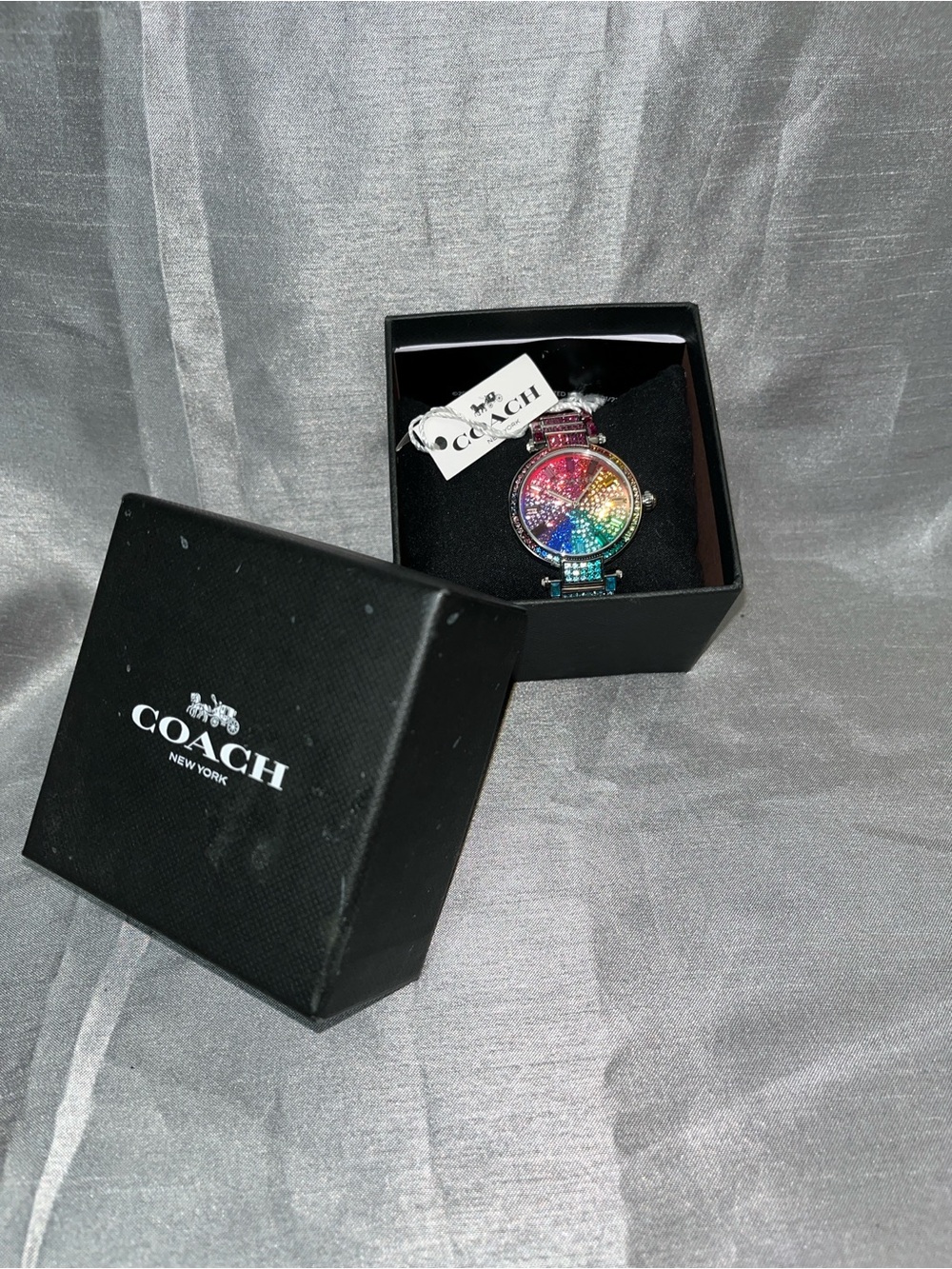 Cary Rainbow Coach Watch - Picture 5 of 14